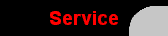  Service 