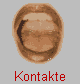  Kontakte 