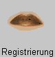  Registrierung 